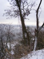 progulka_(13).jpg